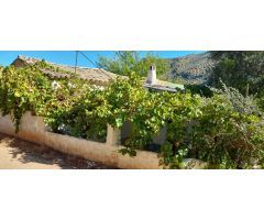 Cortijo con olivos