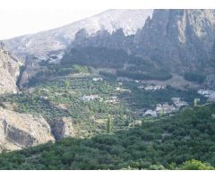 Casa con terreno