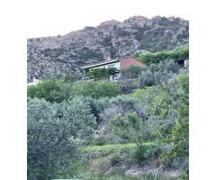 Casa con terreno