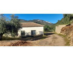 Casa con Olivos