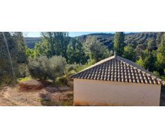 Casa con Olivos