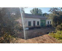 Casa con Olivos