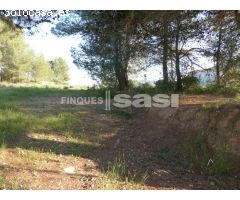 PARCELA EN SESOLIVERES DE 800 M2, PLANA, EN LA MEJOR ZONA POR 150.000 EUR