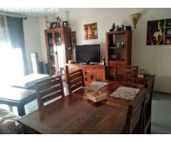 Pisos en Alquiler  Elche Alicante