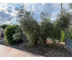 Casa con terreno en Venta en Molina de Segura, Murcia