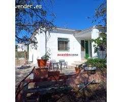 PARCELA CON VIVIENDA A LA VENTA