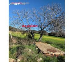 BONITA PARCELA A LA VENTA EN BELMEZ