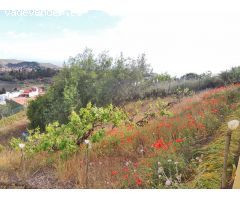 Parcela en Venta en Santa Brígida, Las Palmas