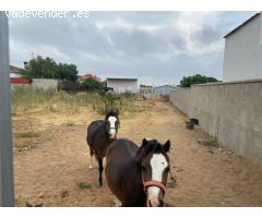 Terreno urbanizable en Venta en El Puerto de Santa María, Cádiz