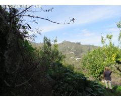 Terreno rural en Venta en Teror, Las Palmas