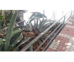 Parcela en Venta en Las Palmas de Gran Canaria, Las Palmas