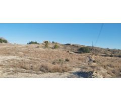 Terreno 11.700 m2 para construir Chalet Elche