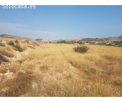 Terreno con agua Hondon de las Nieves (Alicante) España