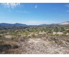 17.300 m2 Hondón de las Nieves para construir Chalet (La Canalosa)
