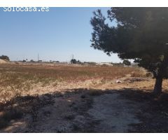 Elche Terreno 9500 m2 frente zona Parque Industrial
