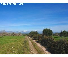 Gran masía de 2.000 m² para restaurar con 55 Ha de terreno en Algaida