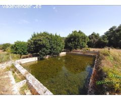 Gran masía de 2.000 m² para restaurar con 55 Ha de terreno en Algaida