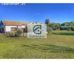 Casa en Alquiler en Colmenar de Oreja, Madrid