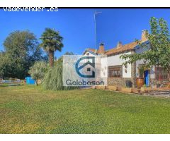 Casa en Alquiler en Colmenar de Oreja, Madrid