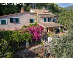???? Vivir con raíces en la Tramuntana: casa familiar en Bunyola