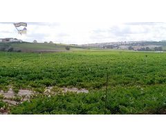 VENTA DE CASA EN BARRIADA LA PEDROSA