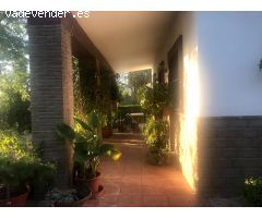 SE ALQUILA CASA CON TERRENO