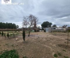 PARCELA EN CTRA. SANTA ANA