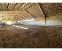 NAVE GANADERA/AGRÍCOLA EN PRIEGO (CUENCA)