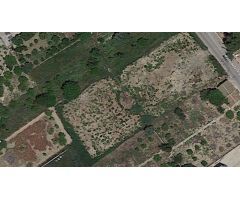 Parcela urbana para hacer un chalet en Los Ramos, Murcia.