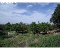 TERRENO DE 18.347M2 EN TORREAGÜERA.