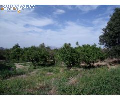 Terreno de huerta en Torreagüera.