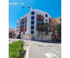 LOCAL COMERCIAL EN CENTRO DE TORREVIEJA