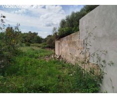 Solar en Muro