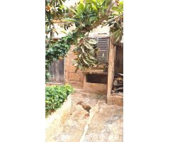 PLANTA BAJA CON JARDÍN EN SON RAPINYA (De origen)