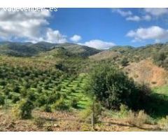 parcela suelo rustico Alora