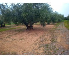 Finca en venta