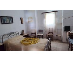 Venta de casa de campo y olivar