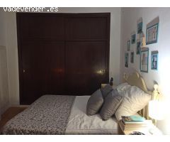PISO EN CALLE PLOCIA ( ZONA AYUNTAMIENTO )