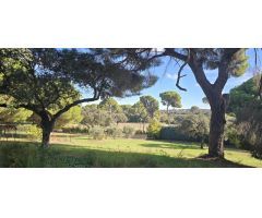 ¡Se Vende Encantador Chalet en Amplia Parcela!