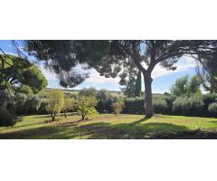 ¡Se Vende Encantador Chalet en Amplia Parcela!