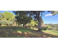 ¡Se Vende Encantador Chalet en Amplia Parcela!