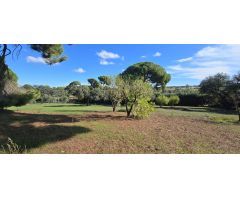 ¡Se Vende Encantador Chalet en Amplia Parcela!