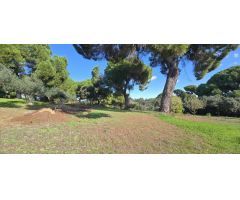 ¡Se Vende Encantador Chalet en Amplia Parcela!