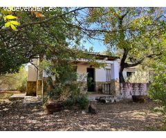 MAGNÍFICA PARCELA URBANA CON CHALET INDEPENDIENTE