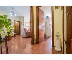 VENTA NUDA PROPIEDAD EN PINO MONTANO