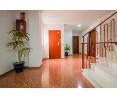VENTA NUDA PROPIEDAD EN PINO MONTANO
