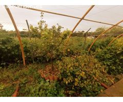 SE VENDE CASA 227 M2 EN PARCELA RUSTICA DE 2.050 M2 CON PISCINA