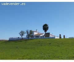 Exclusivo Cortijo Ecuestre en Niebla, Huelva – 6,9 Hectáreas de Encanto Andaluz 