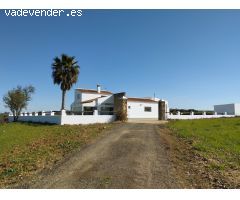 Exclusivo Cortijo Ecuestre en Niebla, Huelva – 6,9 Hectáreas de Encanto Andaluz 