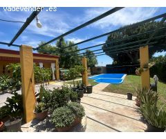 Tu paraíso entre Utrera y Los Palacios — Donde la libertad tiene 4.900 m²